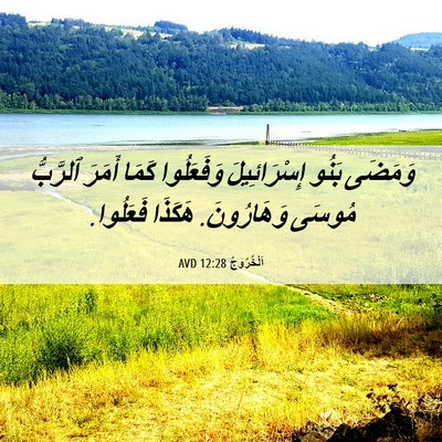 Picture 06 - اَلْخُرُوجُ 12:28 AVD - وَمَضَى بَنُو - Bible Verse Picture