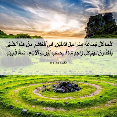 Picture 06 - اَلْخُرُوجُ 12:3 AVD - كَلِّمَا كُلَّ جَمَاعَةِ - Bible Verse Picture