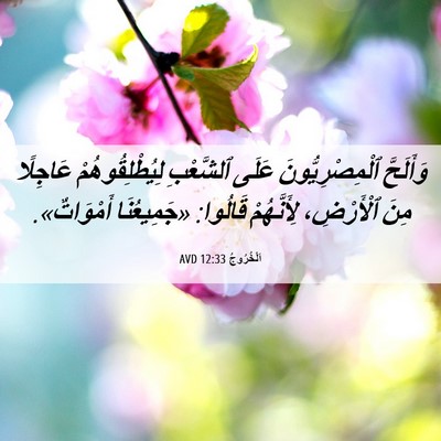 Picture 06 - اَلْخُرُوجُ 12:33 AVD - وَأَلَحَّ ٱلْمِصْرِيُّونَ - Bible Verse Picture