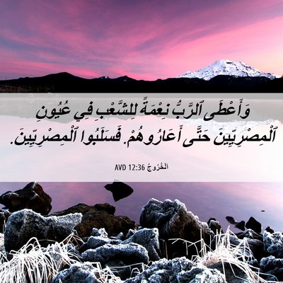 Picture 06 - اَلْخُرُوجُ 12:36 AVD - وَأَعْطَى ٱلرَّبُّ - Bible Verse Picture