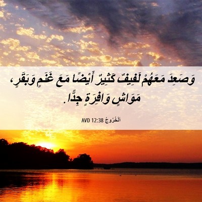 Picture 06 - اَلْخُرُوجُ 12:38 AVD - وَصَعِدَ مَعَهُمْ لَفِيفٌ - Bible Verse Picture