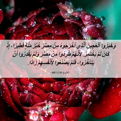 Picture 06 - اَلْخُرُوجُ 12:39 AVD - وَخَبَزُوا ٱلْعَجِينَ - Bible Verse Picture
