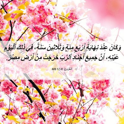 Picture 06 - اَلْخُرُوجُ 12:41 AVD - وَكَانَ عِنْدَ نِهَايَةِ - Bible Verse Picture