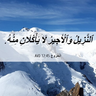 Picture 06 - اَلْخُرُوجُ 12:45 AVD - ٱلنَّزِيلُ وَٱلْأَجِيرُ - Bible Verse Picture