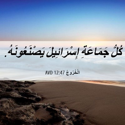 Picture 06 - اَلْخُرُوجُ 12:47 AVD - كُلُّ جَمَاعَةِ - Bible Verse Picture