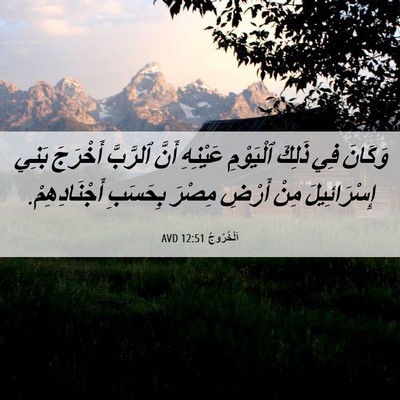 Picture 06 - اَلْخُرُوجُ 12:51 AVD - وَكَانَ فِي ذَلِكَ - Bible Verse Picture