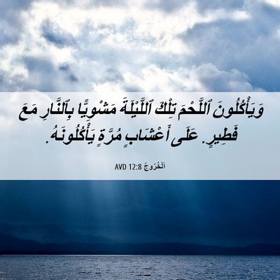 Picture 06 - اَلْخُرُوجُ 12:8 AVD - وَيَأْكُلُونَ ٱللَّحْمَ - Bible Verse Picture