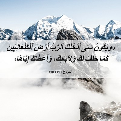 Picture 06 - اَلْخُرُوجُ 13:11 AVD - «وَيَكُونُ مَتَى - Bible Verse Picture