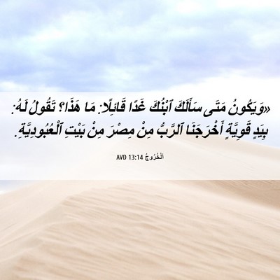 Picture 06 - اَلْخُرُوجُ 13:14 AVD - «وَيَكُونُ مَتَى سَأَلَكَ - Bible Verse Picture
