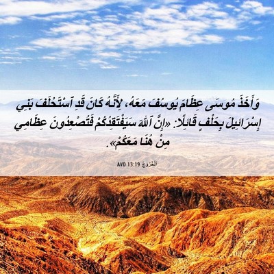 Picture 06 - اَلْخُرُوجُ 13:19 AVD - وَأَخَذَ مُوسَى عِظَامَ - Bible Verse Picture