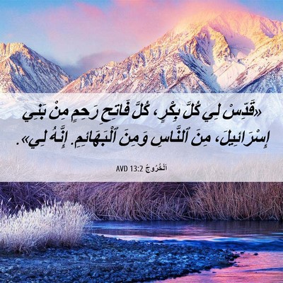 Picture 06 - اَلْخُرُوجُ 13:2 AVD - «قَدِّسْ لِي كُلَّ بِكْرٍ، - Bible Verse Picture