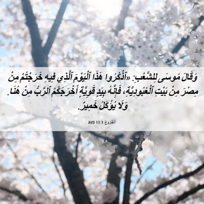 Picture 06 - اَلْخُرُوجُ 13:3 AVD - وَقَالَ مُوسَى لِلشَّعْبِ: - Bible Verse Picture