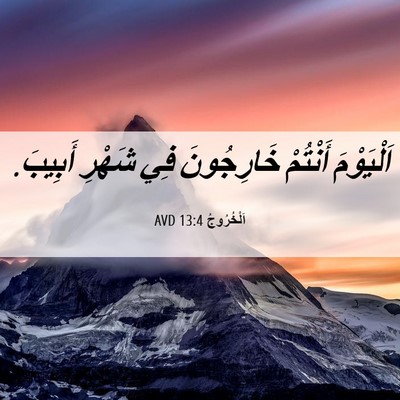 Picture 06 - اَلْخُرُوجُ 13:4 AVD - اَلْيَوْمَ أَنْتُمْ - Bible Verse Picture
