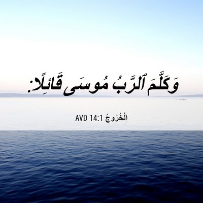 Picture 06 - اَلْخُرُوجُ 14:1 AVD - وَكَلَّمَ ٱلرَّبُ مُوسَى - Bible Verse Picture