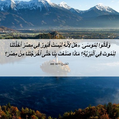 Picture 06 - اَلْخُرُوجُ 14:11 AVD - وَقَالُوا لِمُوسَى: «هَلْ - Bible Verse Picture