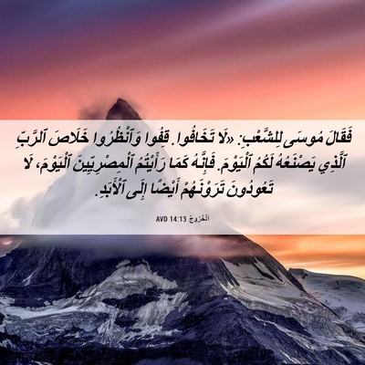 Picture 06 - اَلْخُرُوجُ 14:13 AVD - فَقَالَ مُوسَى لِلشَّعْبِ: - Bible Verse Picture