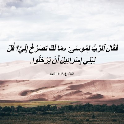 Picture 06 - اَلْخُرُوجُ 14:15 AVD - فَقَالَ ٱلرَّبُّ لِمُوسَى: - Bible Verse Picture