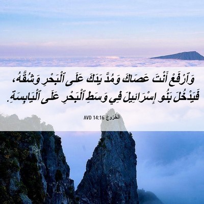 Picture 06 - اَلْخُرُوجُ 14:16 AVD - وَٱرْفَعْ أَنْتَ عَصَاكَ - Bible Verse Picture