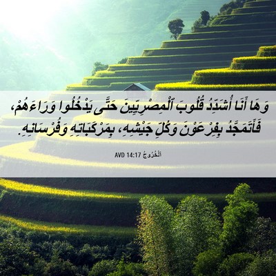 Picture 06 - اَلْخُرُوجُ 14:17 AVD - وَهَا أَنَا أُشَدِّدُ - Bible Verse Picture