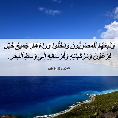 Picture 06 - اَلْخُرُوجُ 14:23 AVD - وَتَبِعَهُمُ - Bible Verse Picture