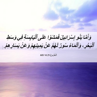 Picture 06 - اَلْخُرُوجُ 14:29 AVD - وَأَمَّا بَنُو - Bible Verse Picture