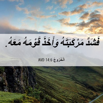 Picture 06 - اَلْخُرُوجُ 14:6 AVD - فَشَدَّ مَرْكَبَتَهُ - Bible Verse Picture