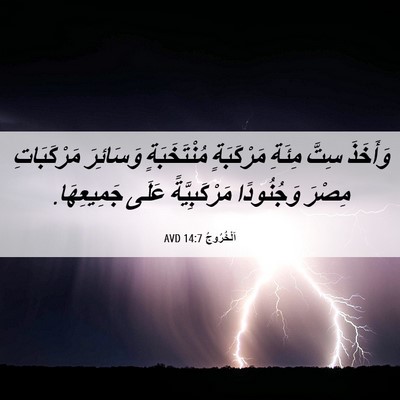 Picture 06 - اَلْخُرُوجُ 14:7 AVD - وَأَخَذَ سِتَّ مِئَةِ - Bible Verse Picture