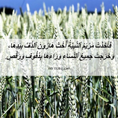 Picture 06 - اَلْخُرُوجُ 15:20 AVD - فَأَخَذَتْ مَرْيَمُ - Bible Verse Picture