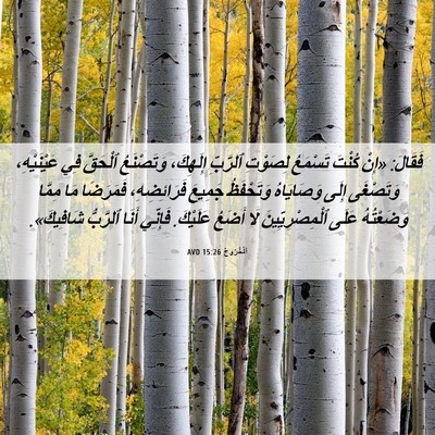 Picture 06 - اَلْخُرُوجُ 15:26 AVD - فَقَالَ: «إِنْ كُنْتَ - Bible Verse Picture