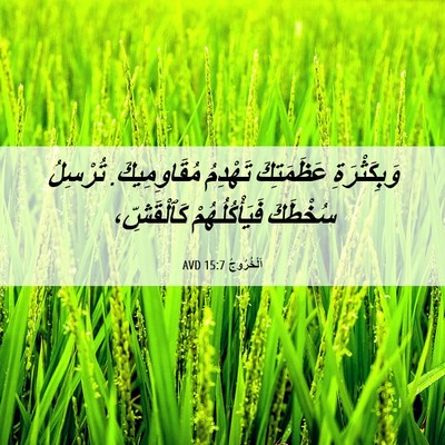 Picture 06 - اَلْخُرُوجُ 15:7 AVD - وَبِكَثْرَةِ عَظَمَتِكَ - Bible Verse Picture