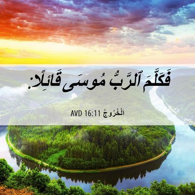 Picture 06 - اَلْخُرُوجُ 16:11 AVD - فَكَلَّمَ ٱلرَّبُّ مُوسَى - Bible Verse Picture