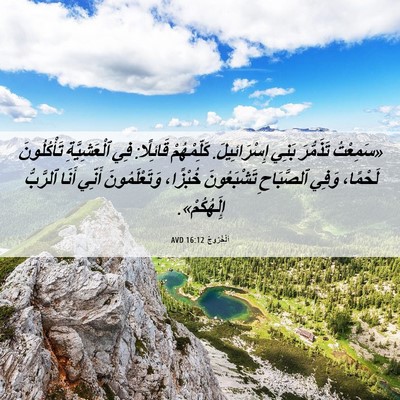 Picture 06 - اَلْخُرُوجُ 16:12 AVD - «سَمِعْتُ تَذَمُّرَ بَنِي - Bible Verse Picture