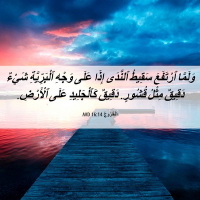 Picture 06 - اَلْخُرُوجُ 16:14 AVD - وَلَمَّا ٱرْتَفَعَ - Bible Verse Picture