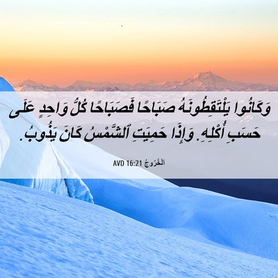 Picture 06 - اَلْخُرُوجُ 16:21 AVD - وَكَانُوا يَلْتَقِطُونَهُ - Bible Verse Picture
