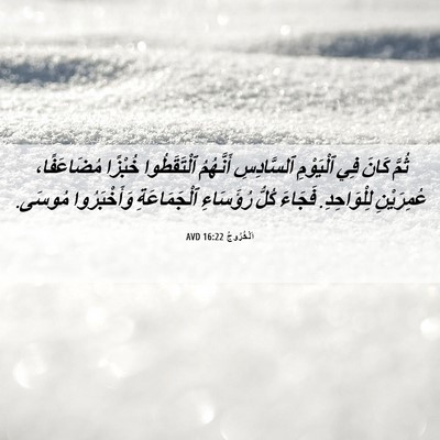 Picture 06 - اَلْخُرُوجُ 16:22 AVD - ثُمَّ كَانَ فِي ٱلْيَوْمِ - Bible Verse Picture