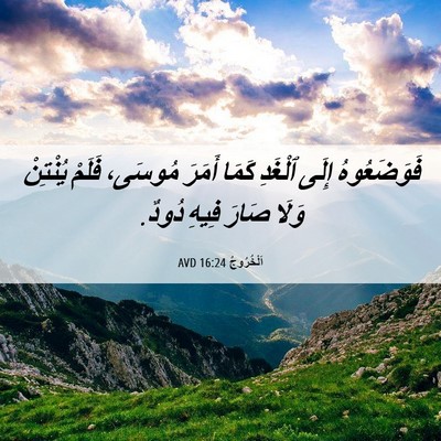 Picture 06 - اَلْخُرُوجُ 16:24 AVD - فَوَضَعُوهُ إِلَى ٱلْغَدِ - Bible Verse Picture