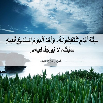 Picture 06 - اَلْخُرُوجُ 16:26 AVD - سِتَّةَ أَيَّامٍ - Bible Verse Picture