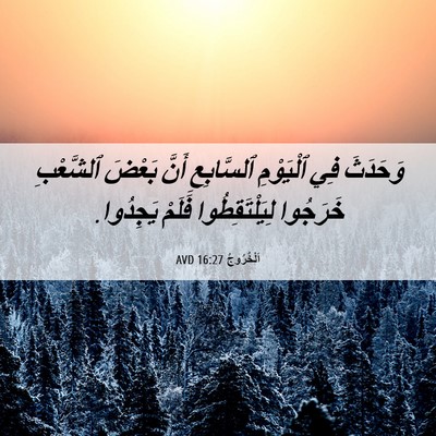 Picture 06 - اَلْخُرُوجُ 16:27 AVD - وَحَدَثَ فِي ٱلْيَوْمِ - Bible Verse Picture