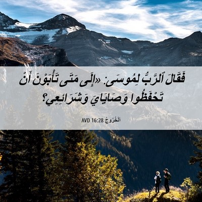 Picture 06 - اَلْخُرُوجُ 16:28 AVD - فَقَالَ ٱلرَّبُّ لِمُوسَى: - Bible Verse Picture