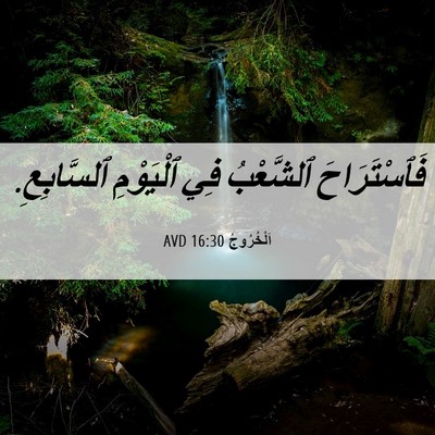 Picture 06 - اَلْخُرُوجُ 16:30 AVD - فَٱسْتَرَاحَ ٱلشَّعْبُ - Bible Verse Picture