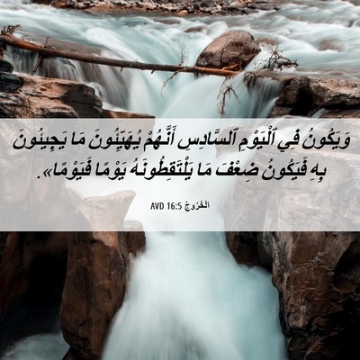 Picture 06 - اَلْخُرُوجُ 16:5 AVD - وَيَكُونُ فِي ٱلْيَوْمِ - Bible Verse Picture
