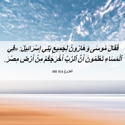 Picture 06 - اَلْخُرُوجُ 16:6 AVD - فَقَالَ مُوسَى وَهَارُونُ - Bible Verse Picture