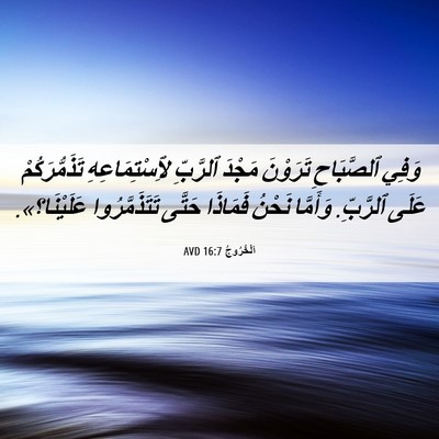 Picture 06 - اَلْخُرُوجُ 16:7 AVD - وَفِي ٱلصَّبَاحِ تَرَوْنَ - Bible Verse Picture