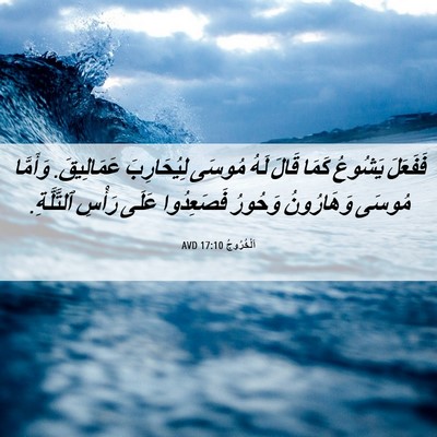 Picture 06 - اَلْخُرُوجُ 17:10 AVD - فَفَعَلَ يَشُوعُ كَمَا - Bible Verse Picture