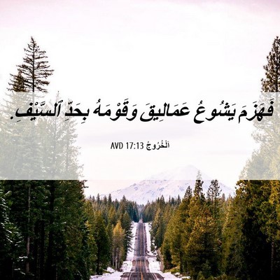 Picture 06 - اَلْخُرُوجُ 17:13 AVD - فَهَزَمَ يَشُوعُ - Bible Verse Picture