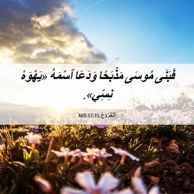 Picture 06 - اَلْخُرُوجُ 17:15 AVD - فَبَنَى مُوسَى مَذْبَحًا - Bible Verse Picture