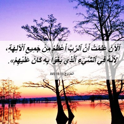 Picture 06 - اَلْخُرُوجُ 18:11 AVD - ٱلْآنَ عَلِمْتُ أَنَّ - Bible Verse Picture