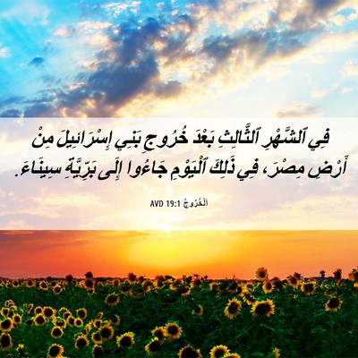 Picture 06 - اَلْخُرُوجُ 19:1 AVD - فِي ٱلشَّهْرِ ٱلثَّالِثِ - Bible Verse Picture