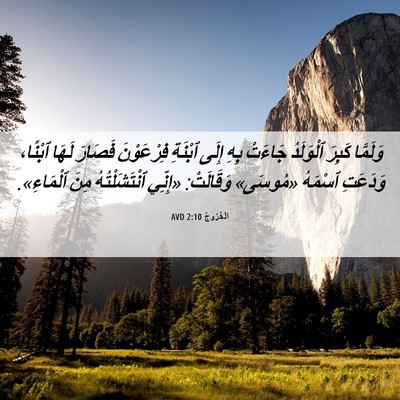 Picture 06 - اَلْخُرُوجُ 2:10 AVD - وَلَمَّا كَبِرَ ٱلْوَلَدُ - Bible Verse Picture