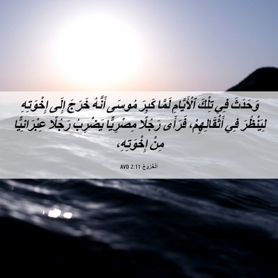 Picture 06 - اَلْخُرُوجُ 2:11 AVD - وَحَدَثَ فِي تِلْكَ - Bible Verse Picture